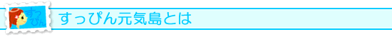 すっぴん元気島とは
